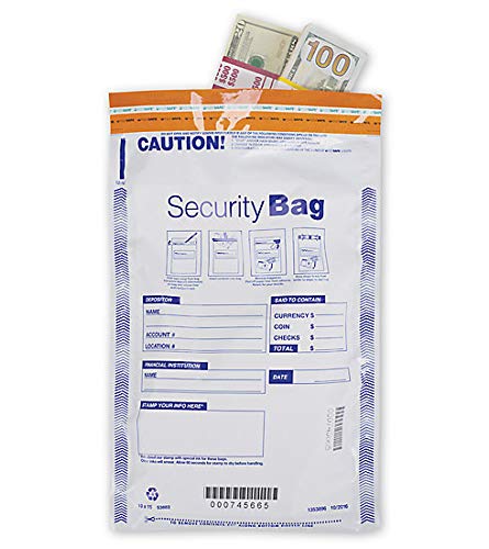 ABC FREEZFraud Coin Money Bank Single Pocket Deposit Bag, 10x15", Opaque- 100 Bags
