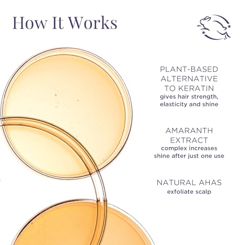 Meaningful Beauty Hair Age-Proof Hair Care Starter System