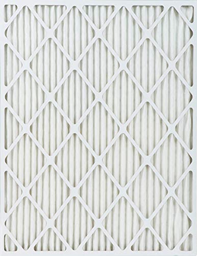 True Blue Allergen 20x36x1 Air Filter , MERV 11, 4-Pack