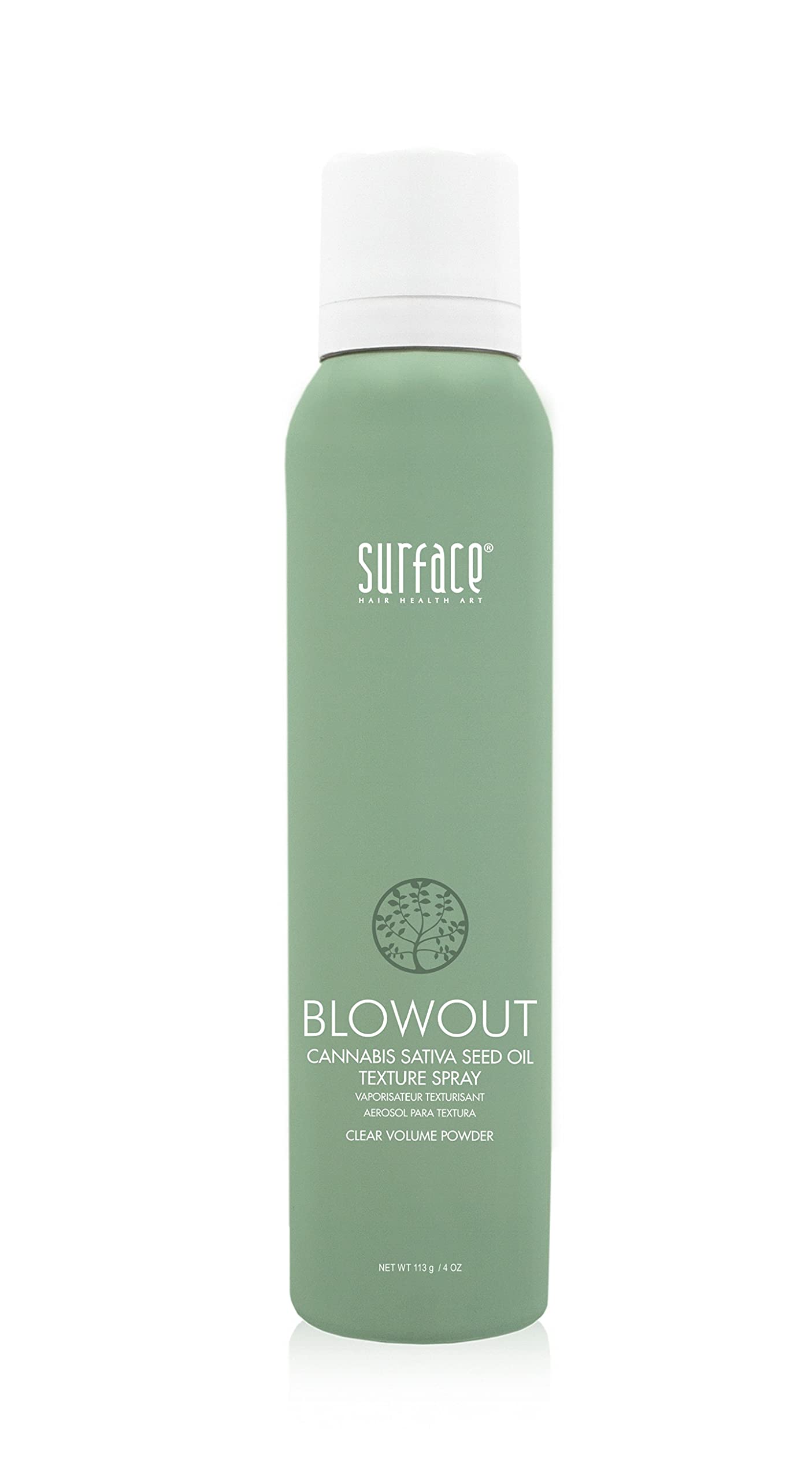SURFACE Hair Blowout Hair Texture Spray for Women and Men, 4 oz - Heat Protecting, Volumizing Spray Lychee and Maracuja Oil - Premium Blowout Hair Products for Styling