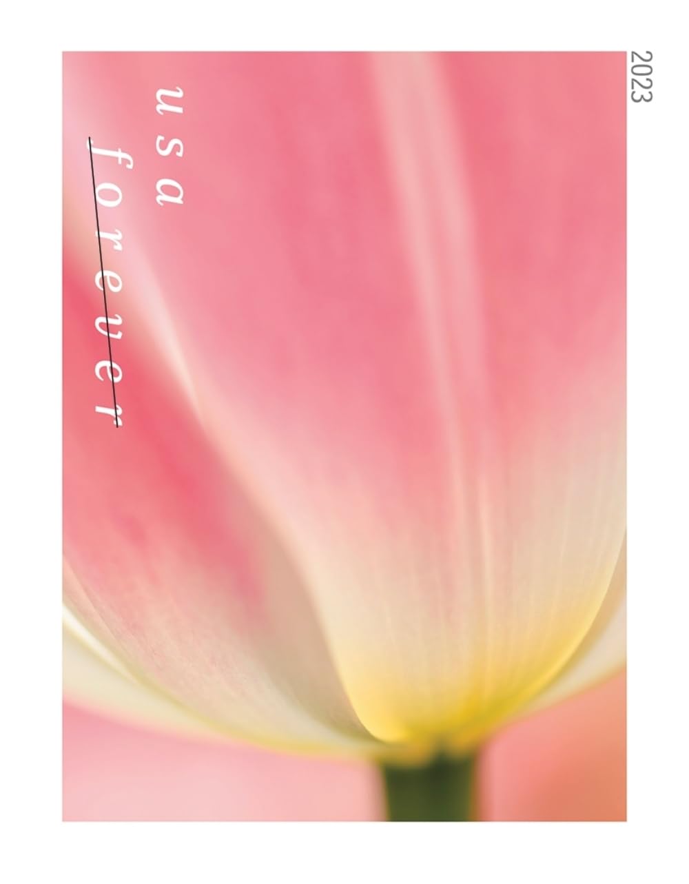 Tulip Blossom Forever Postage Stamp - 2 Books of 20 US First Class Flower Wedding Celebration Party Garden Announcement (40 Stamps)