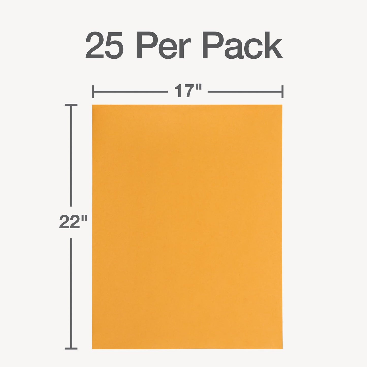 Quality Park Jumbo Kraft Envelopes, 17 x 22, Ungummed Catalog Envelopes for Storing and Organizing, 28 lb Kraft Paper, 25 per Box (QUA42356), Brown Kraft