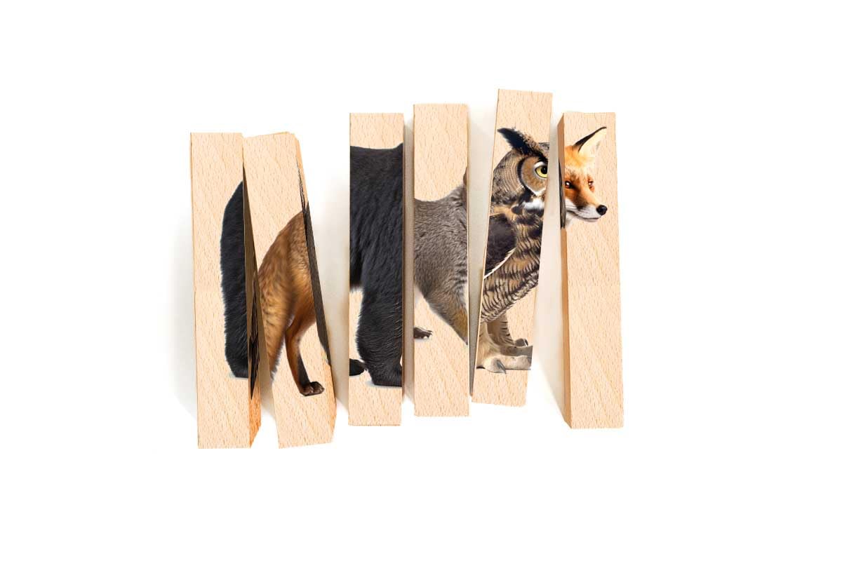 Wooden Animal Chunky Puzzles for Toddlers 2+ Years - Montessori 4 in 1 Creature Block Puzzle Toy (Safari)