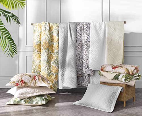 Tommy Bahama - Queen Quilt Set, Reversible Cotton Bedding with Matching Shams, Soft All Season Bedspread, Coastal Bedding Set (Fiesta Palms Green, Queen)