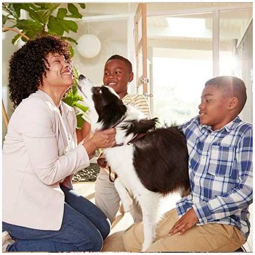 Filtrete 16x30x1 AC Furnace Air Filter, MERV 12, MPR 1500, CERTIFIED asthma & allergy friendly, 3 Month Pleated 1-Inch Electrostatic Air Cleaning Filter, 2-Pack (Actual Size 15.81x29.81x0.78 in)