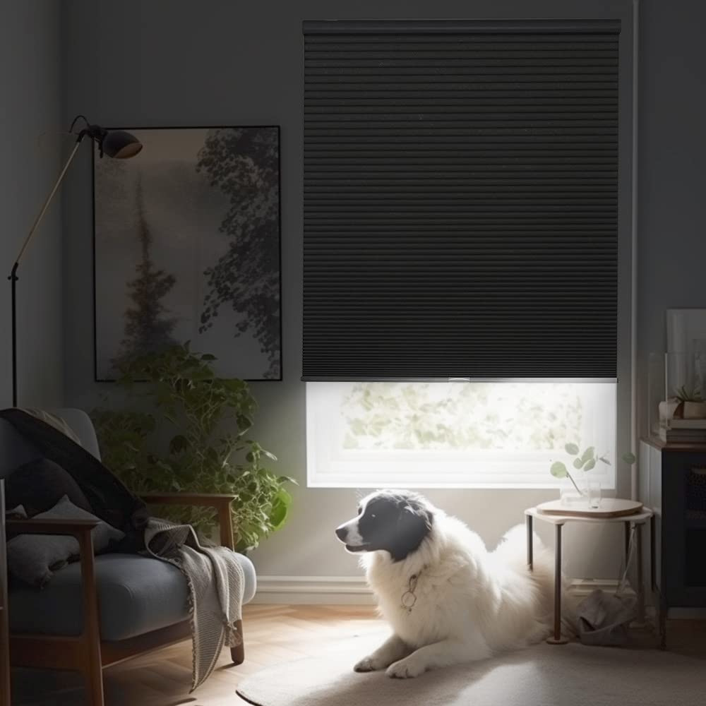 Joydeco Honeycomb Shades, Black Cordless Cellular Shades Blackout, Free-Stop Honeycomb Window Blinds for Bathroom, Bedroom, Living Room, Office, Kitchen (36" W x 64" H)