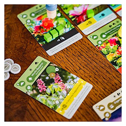 Inside Up Games Earth | Board Game of The Year 2023 | Ecosystem Building, Card Drafting, Action Selection | Create Amazing Natural Synergies | 1 to 6 Players | 45 to 90 Minute | Age 13+