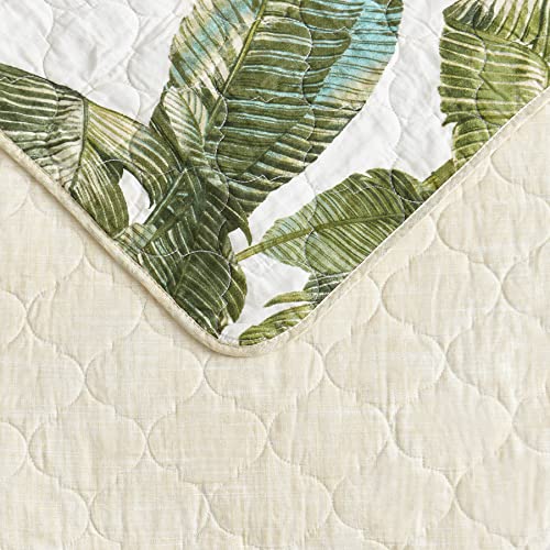 Tommy Bahama - Queen Quilt Set, Reversible Cotton Bedding with Matching Shams, Soft All Season Bedspread, Coastal Bedding Set (Fiesta Palms Green, Queen)