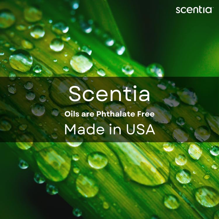 Scentia Hotel Diffuser Oil | Aromatherapy Fragrances Inspired by 5-Star Hotels | Luxurious Scents Gift Set - 3 x 20ml Bottles Set - The 1 Hotel Miami, W Hotel, The Ritz Carlton