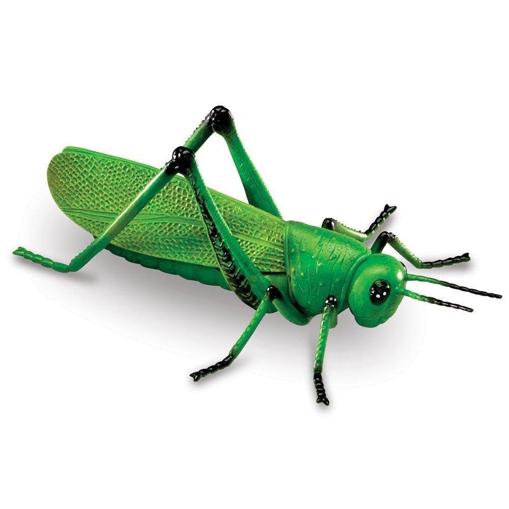 Learning Resources LER0789 Jumbo Insects
