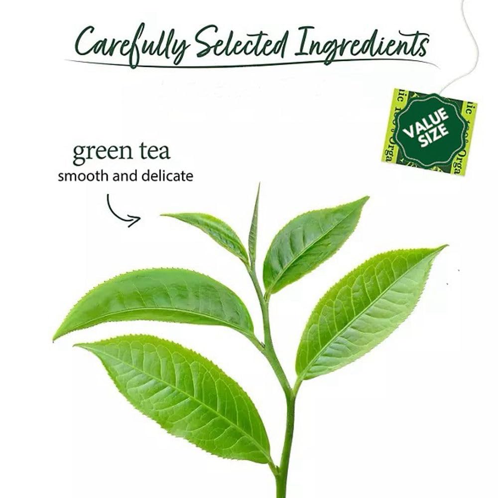 Bigelowwss Premium Organic Green Tea 140 ct. w/A Storage Bag