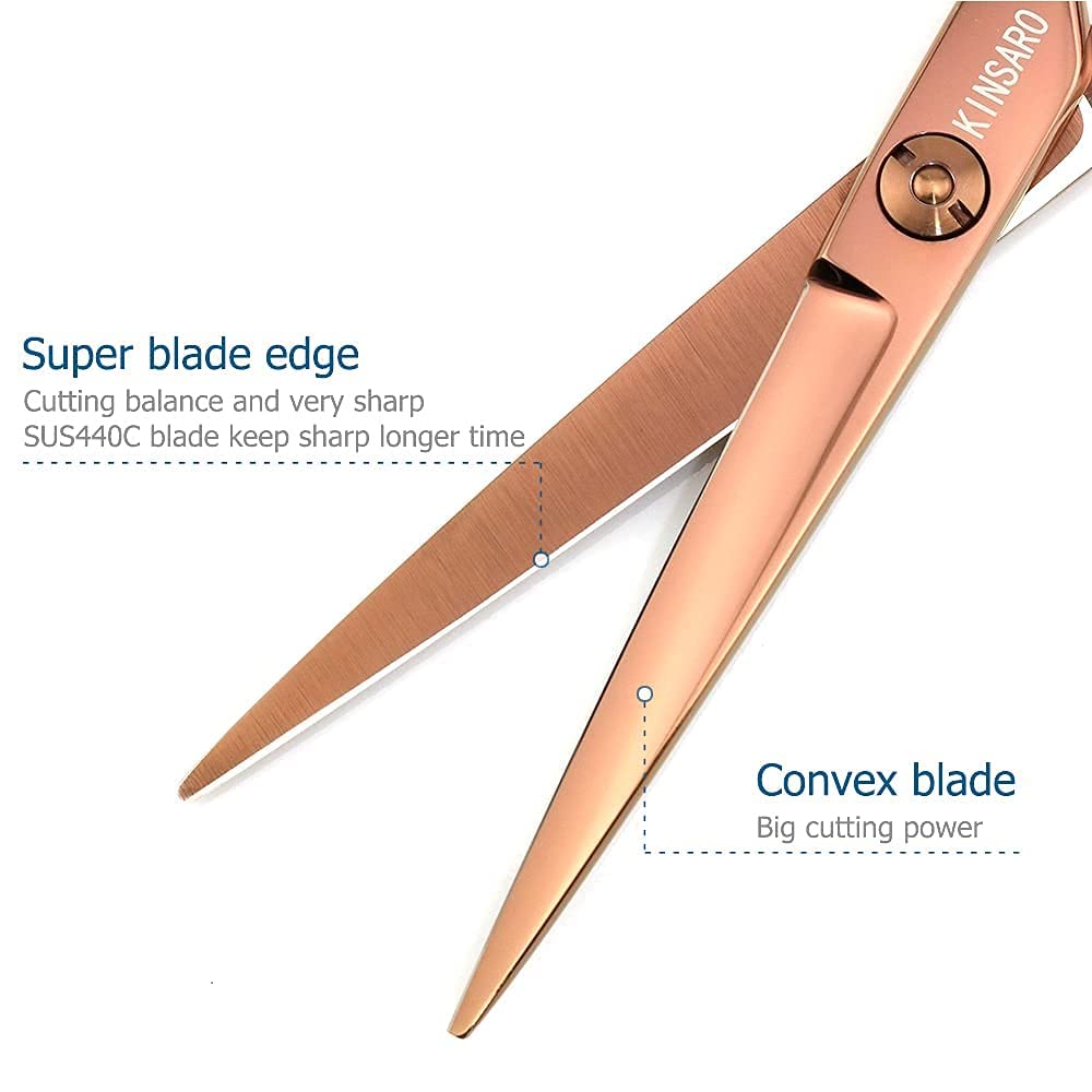 6 Inch Professional Hair Scissors Hair Cutting Shears and Thinning Shears Japan 440C Shears Haircut Scissors Barber Scissors Hair Cutting Scissors Kinsaro