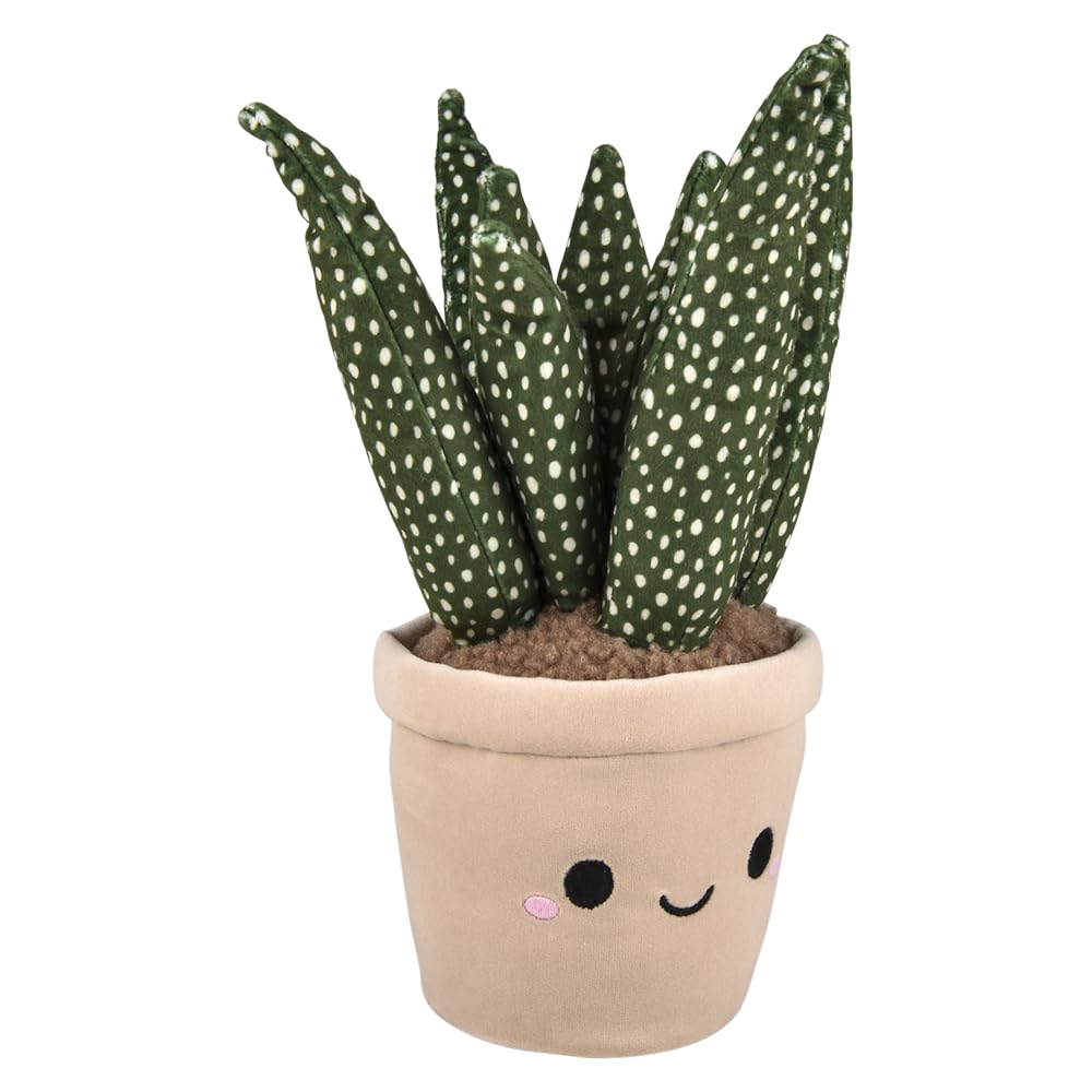 Rhode Island Novelty Plush Succulent Assortment (6 ct)