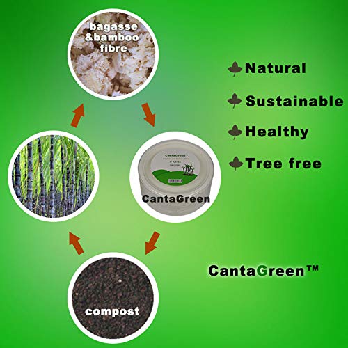 CantaGreen 500 Count 6 Inch Small Heavy Duty Compostable Dessert Plates, Biodegradable Bagasse and Bamboo Fiber Paper Plates