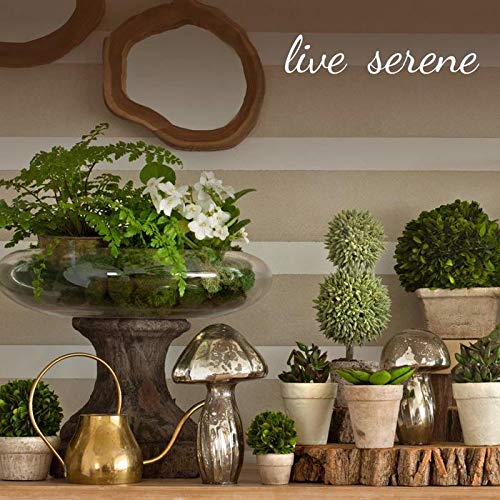 Serene Spaces Living Birch Bark Candle, Set of 3 Medium, Pillar Candle, Ideal for Weddings, Parties, Events, Restaurants, Home Decor, 3" Diameter & 5.75" Tall