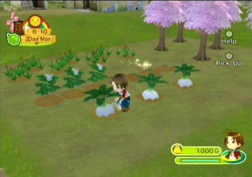Harvest Moon: Animal Parade - Nintendo Wii (Renewed)
