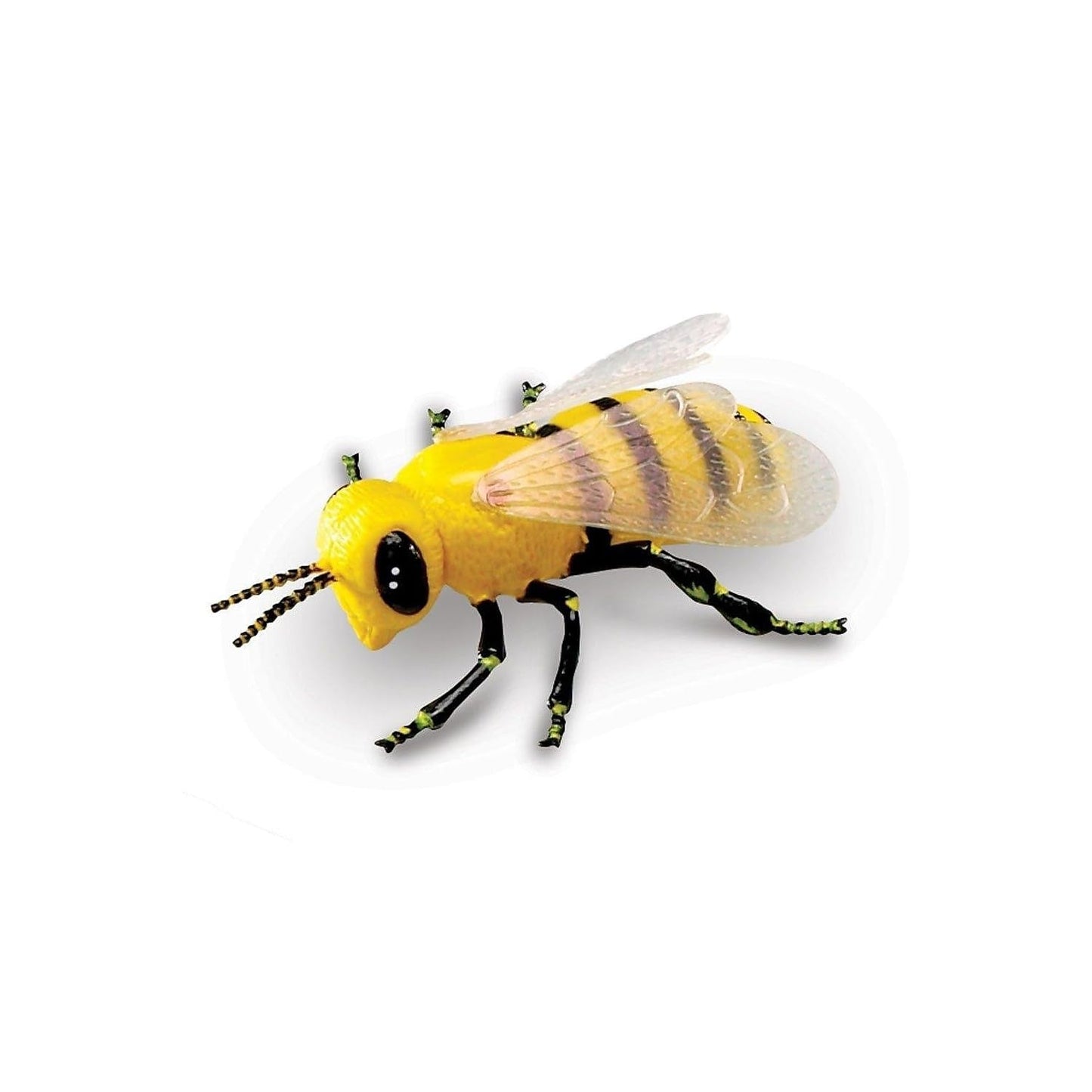 Learning Resources Jumbo Insects - 7 Pieces, Ages 3+ Toddler Learning Toys, Animal Toys for Kids, Preschool Science Learning Toys