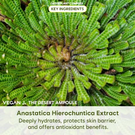 Vegan J. The Desert Ampoule | Intensive Hydration with MoistOasis | 53,000ppm Oasis-Plant Complex | Korean Skincare | Kbeauty | Vegan (47ml)