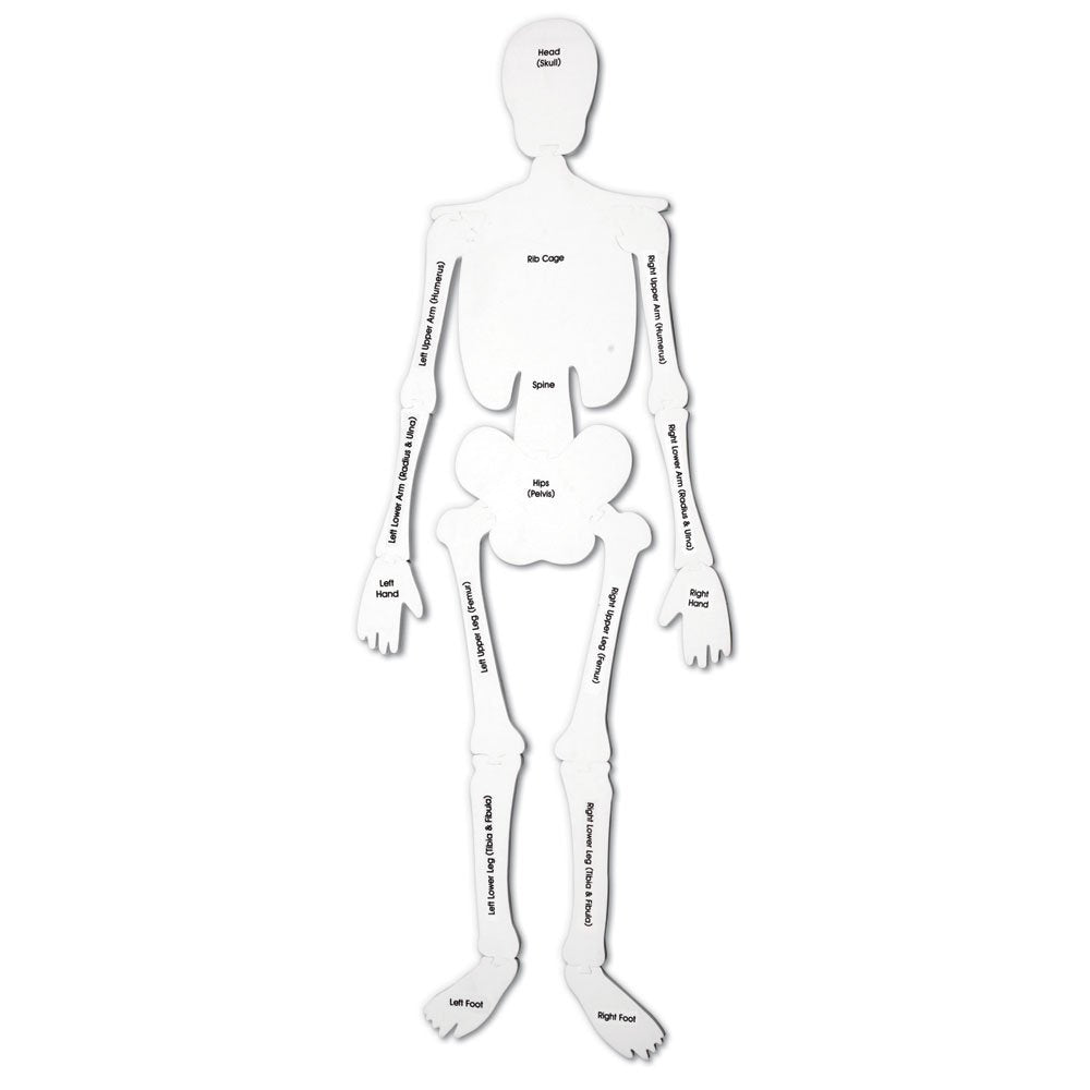 Learning Resources Skeleton Floor Puzzle (LER3332)