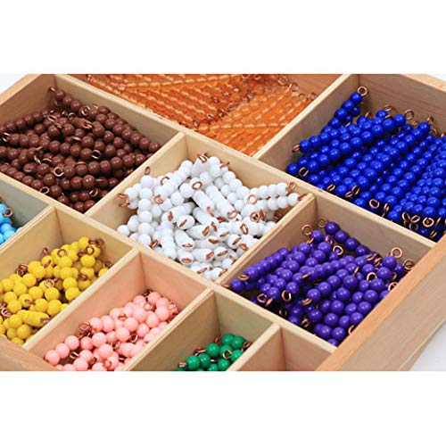 Bead Decanomial - Montessori Eductional Materials Learning Tools Preschool Toys