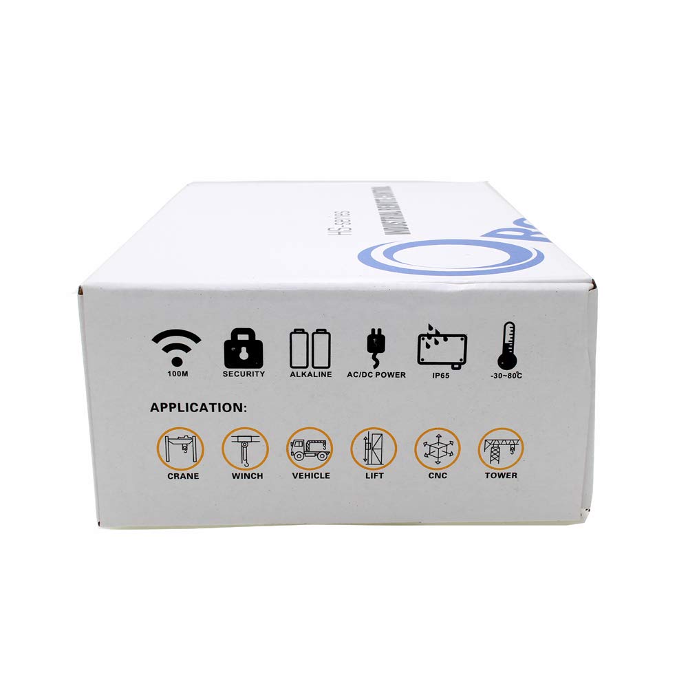 10 Key Hoist Crane Radio Wireless Remote Control Industrial Transmitter&Receiver (AC/DC12-24V)
