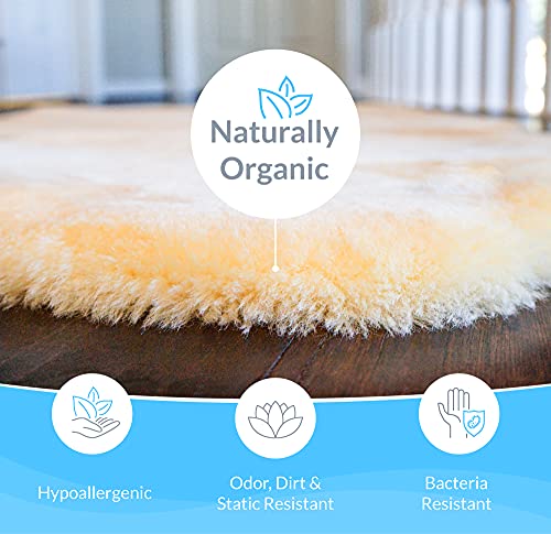 Sheepskin Ranch 100% Medical Sheepskin Heel Cushion Bootie - Soft Lambswool Heel Protectors for Pressure Sores, Bed Sores, Ulcer Sore Prevention & Comfort (Pair)