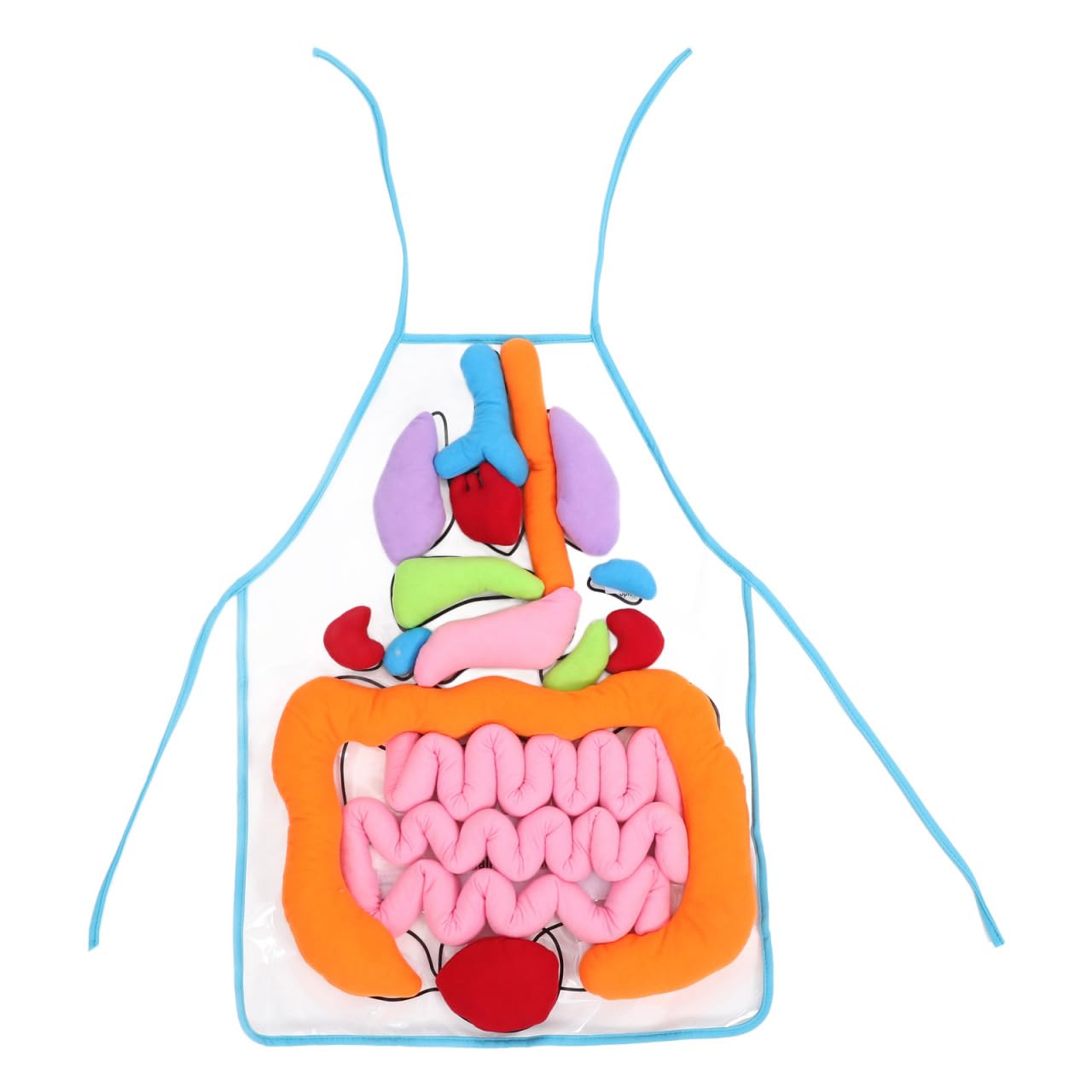 POPETPOP Educational Apron 1 Set 3D Organ Apron, Human Body Organs Cognitive Toy 3D Body Organs Apron Educational Tool Anatomy Apron for Kids 3D Human Organs Apron, As Shown, 60X40CM, As Shown, 60X40CM