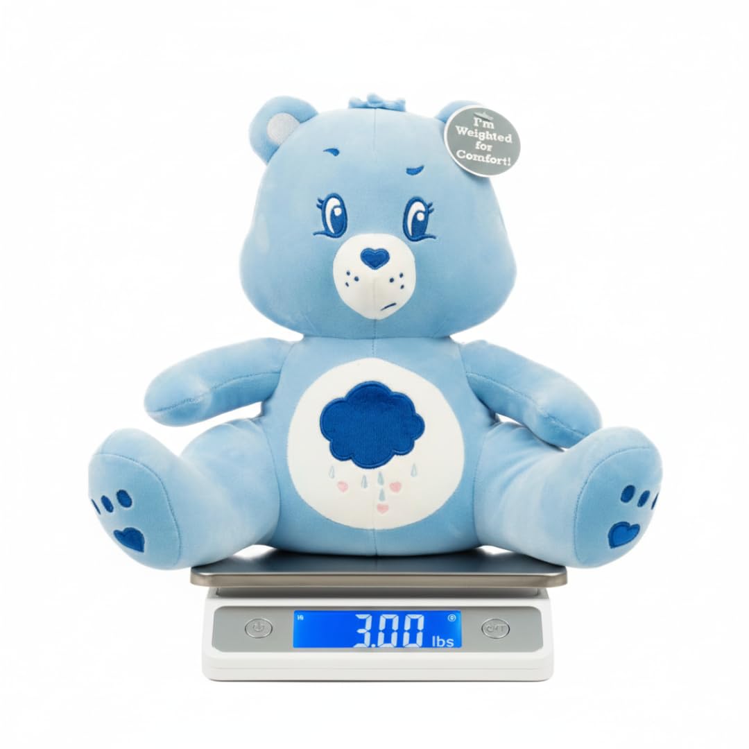 Franco Calm Care Bears Grumpy Bear Bedding Super Soft Calming 3Lb Weighted Cuddle Pillow Buddy, Comfort Pillow, (Officially Licensed Product)