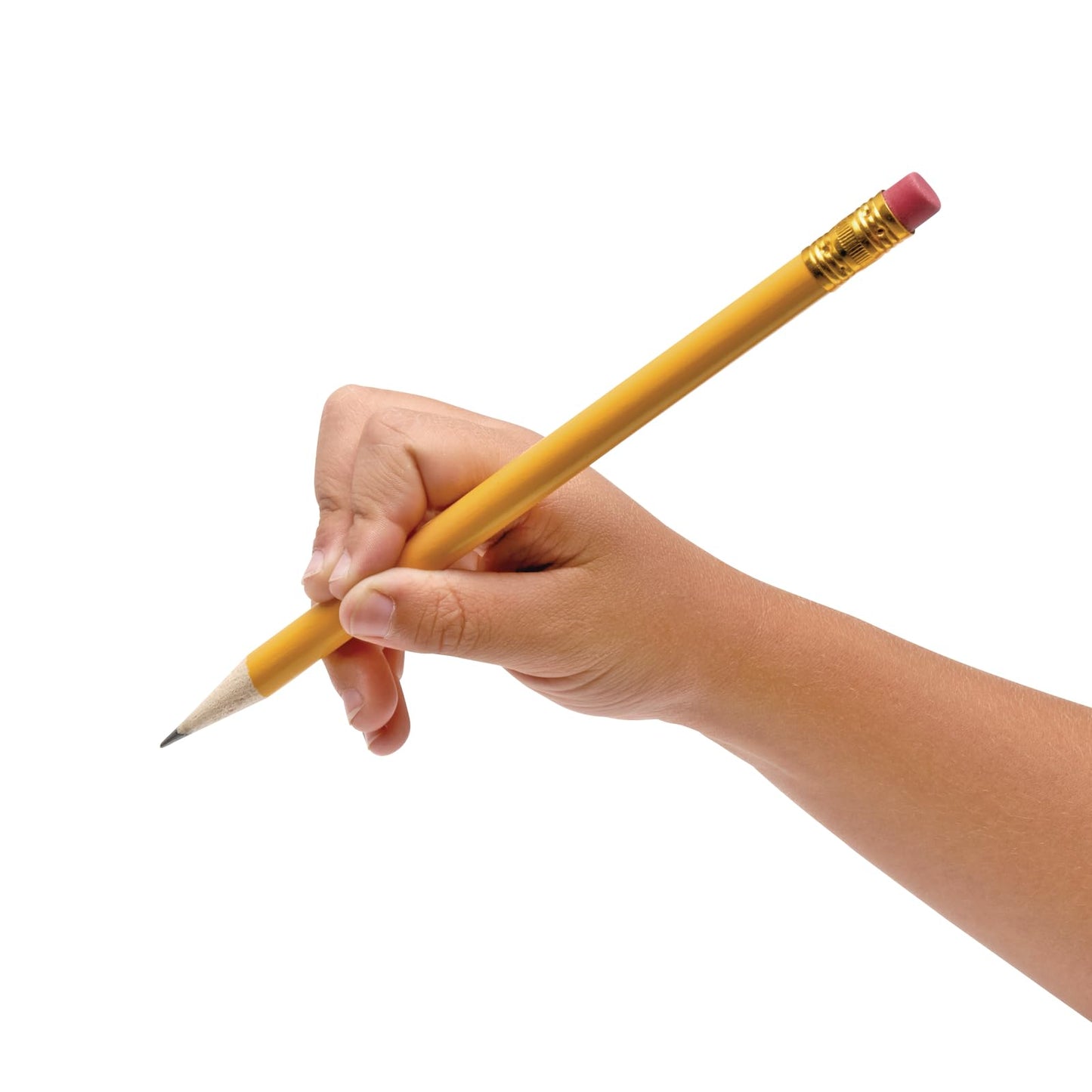 Colorations Primary Pencils W/Erasers, 24 Packs, Sustainable, Graphite (Item # CPPWE24)