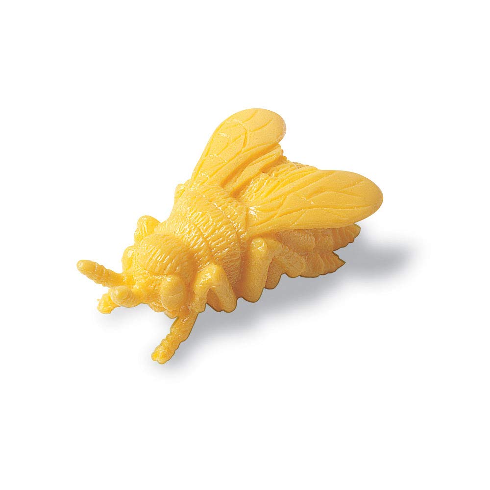 Learning Resources LER0457 Backyard Bugs Counters, Educational Counting and Sorting Toy, Set of 72