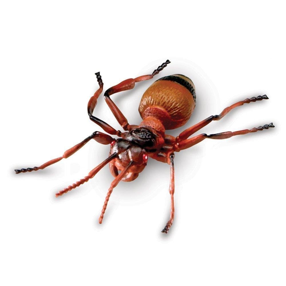 Learning Resources LER0789 Jumbo Insects