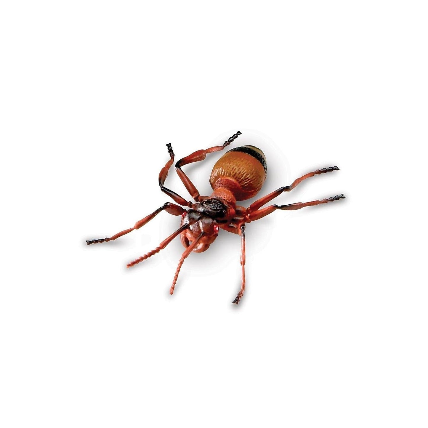 Learning Resources Jumbo Insects - 7 Pieces, Ages 3+ Toddler Learning Toys, Animal Toys for Kids, Preschool Science Learning Toys