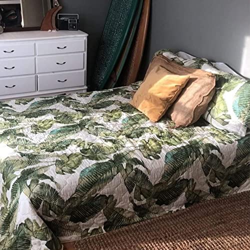 Tommy Bahama - Queen Quilt Set, Reversible Cotton Bedding with Matching Shams, Soft All Season Bedspread, Coastal Bedding Set (Fiesta Palms Green, Queen)