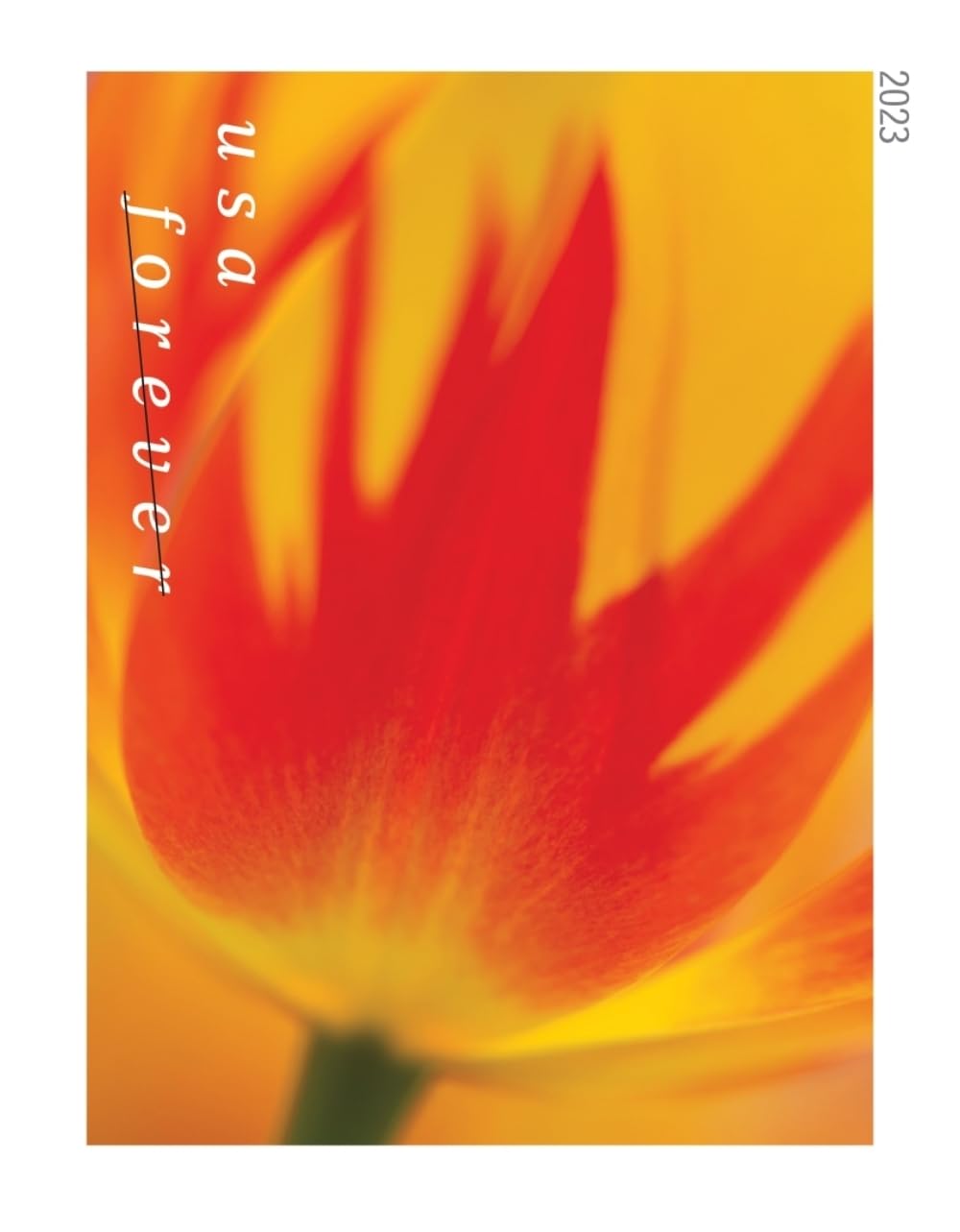 Tulip Blossom Forever Postage Stamp - 2 Books of 20 US First Class Flower Wedding Celebration Party Garden Announcement (40 Stamps)