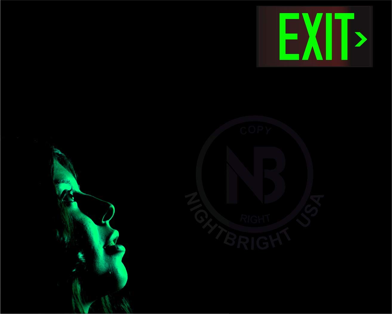 Photoluminescent Exit Sign Red - Pack of 2 - Aluminum - UL 924 Code Approved/IBC/NFPA 101 / NightBright USA Part Number ULR-050 II