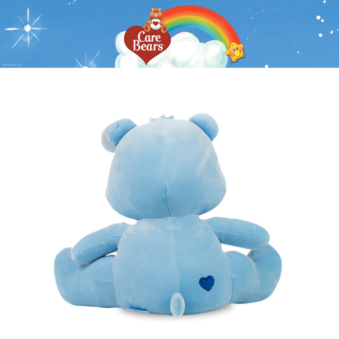Franco Calm Care Bears Grumpy Bear Bedding Super Soft Calming 3Lb Weighted Cuddle Pillow Buddy, Comfort Pillow, (Officially Licensed Product)