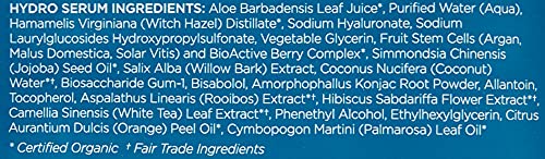 Andalou Naturals Instant Pure Pore Hydro Serum Facial Sheet Mask, Coconut Water, Clarifying, Non GMO, 0.6 Fluid Ounces (Pack Of 6)