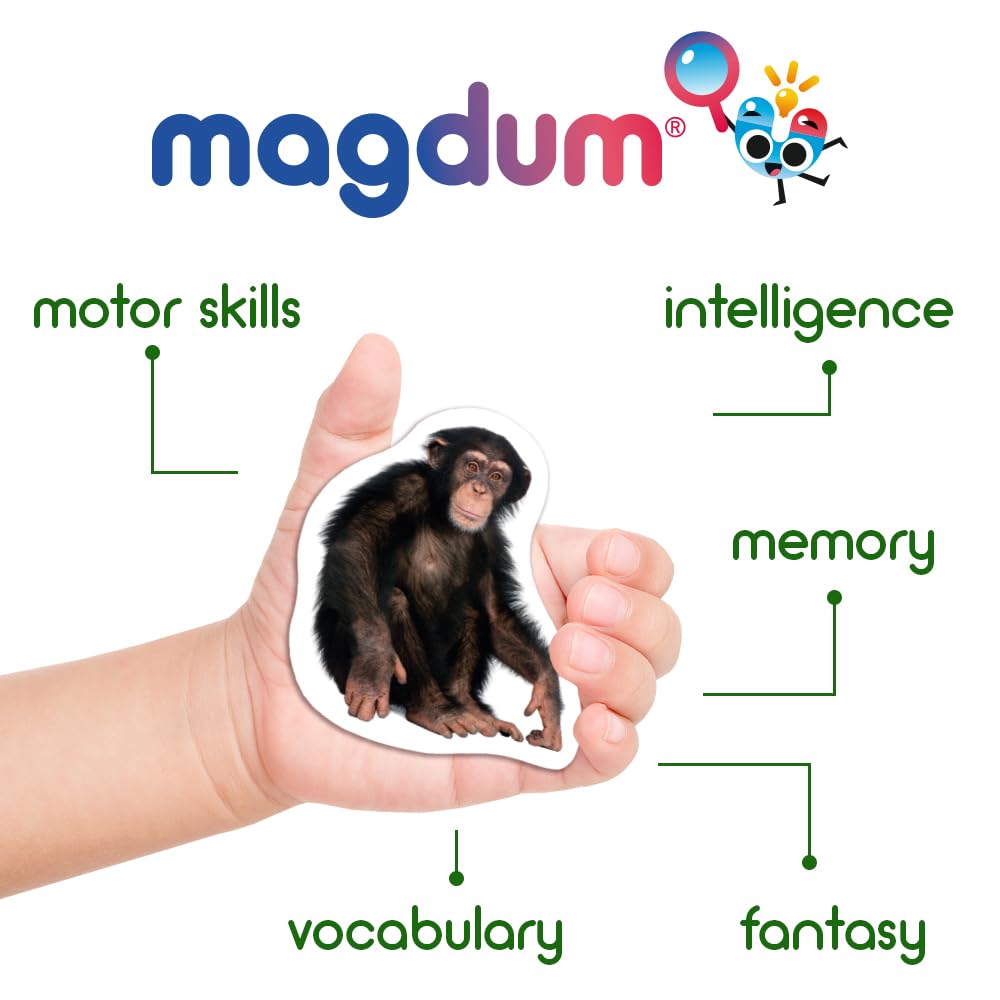Kids Animal Fridge Magnets - 110 Pcs in Gift Tin Box - Magnetic Animals for Toddlers
