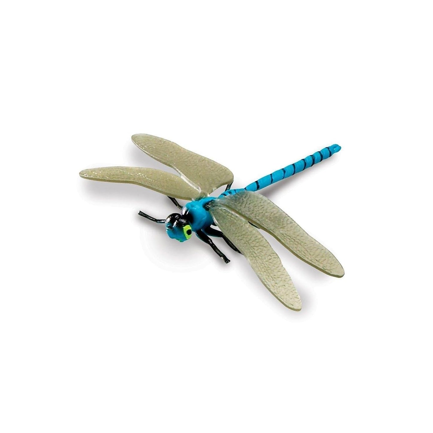 Learning Resources Jumbo Insects - 7 Pieces, Ages 3+ Toddler Learning Toys, Animal Toys for Kids, Preschool Science Learning Toys