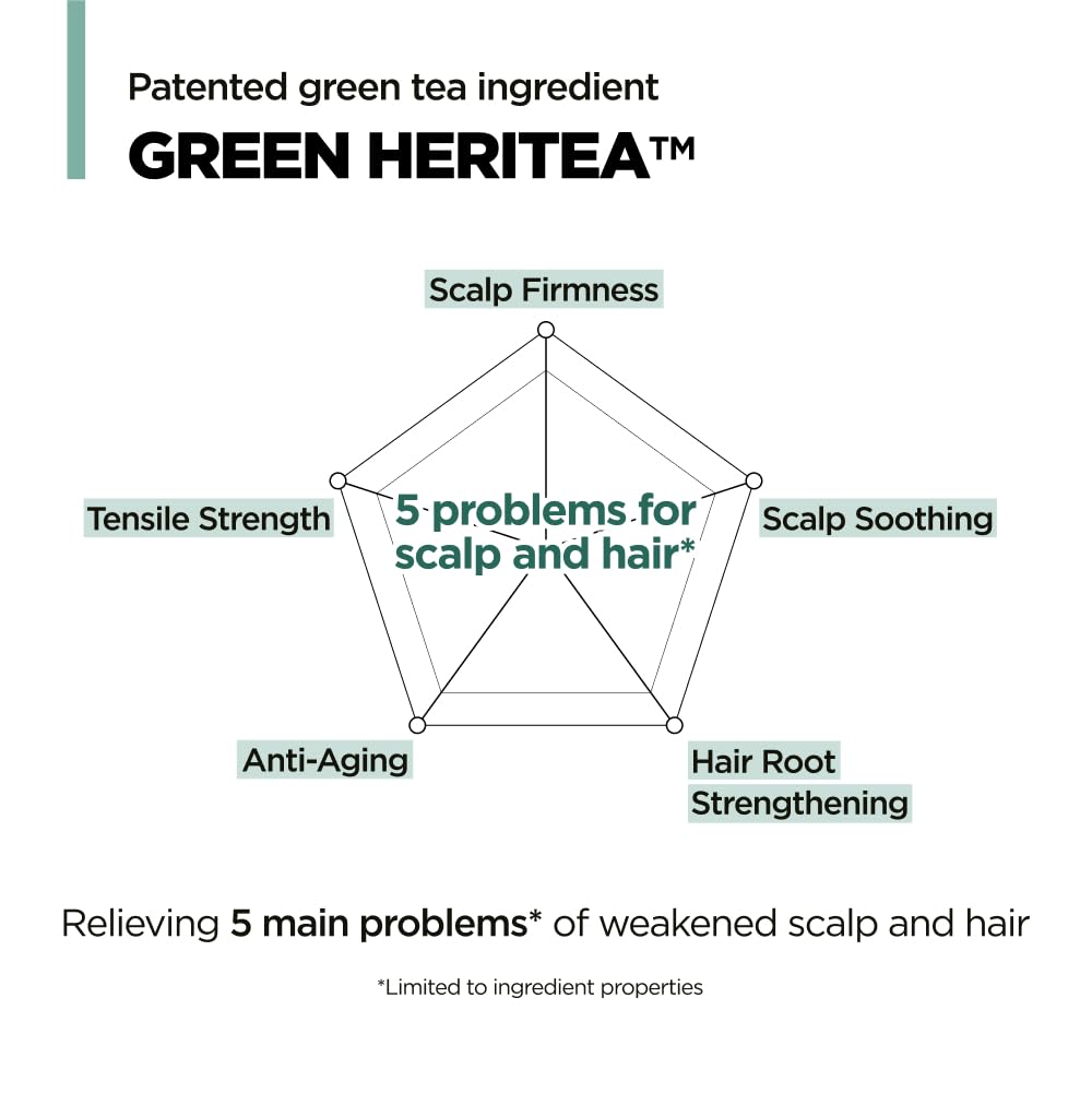 AMOS PROFESSIONAL The Green Tea Moisturizing Pack - Scalp Treatment for Thinning Hair, Korean Hair Mask, Strengthening, All Hair Types, 8.4 fl.oz