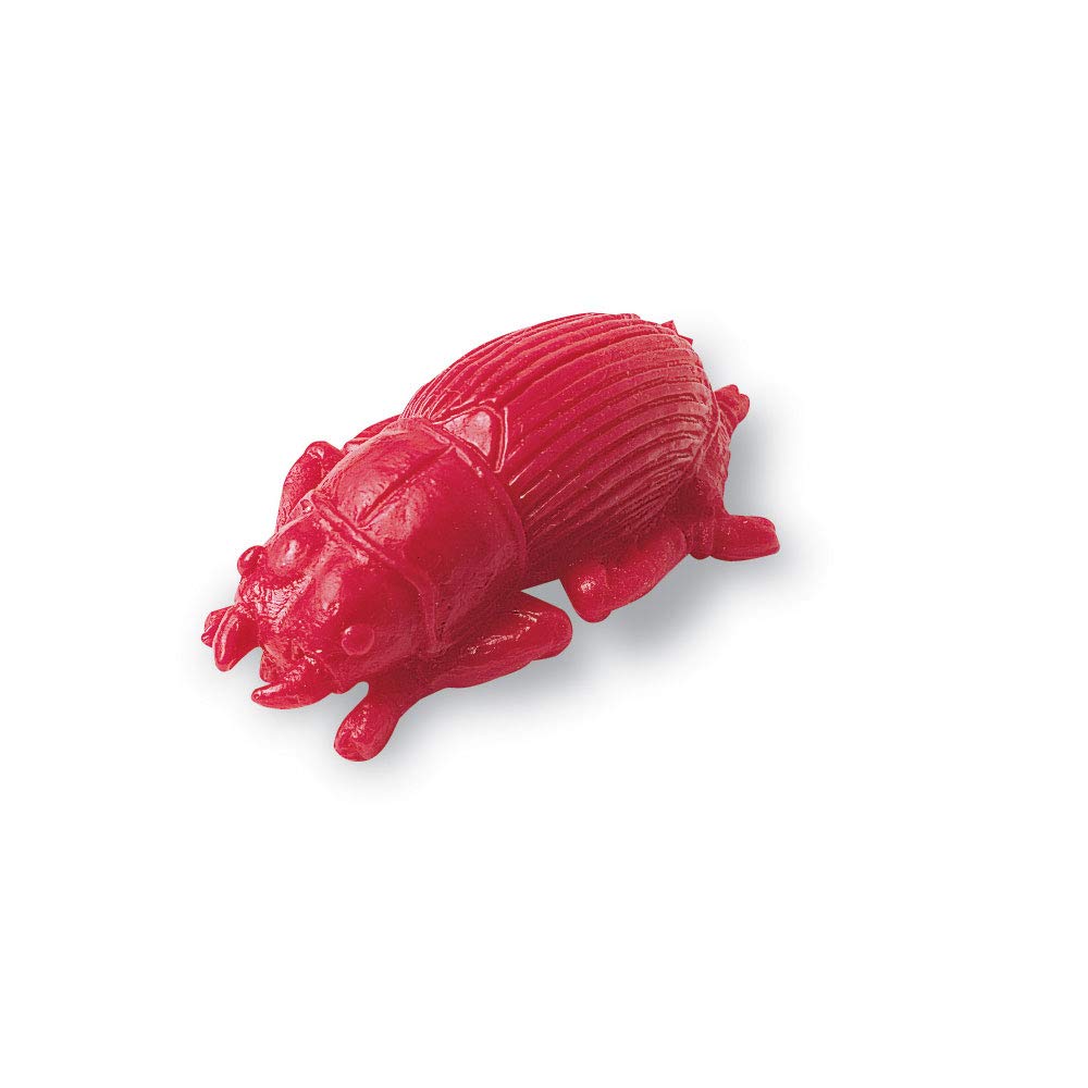 Learning Resources LER0457 Backyard Bugs Counters, Educational Counting and Sorting Toy, Set of 72