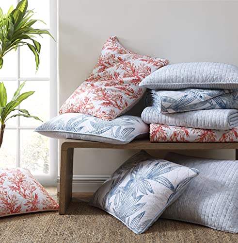 Tommy Bahama - Queen Quilt Set, Reversible Cotton Bedding with Matching Shams, Soft All Season Bedspread, Coastal Bedding Set (Fiesta Palms Green, Queen)