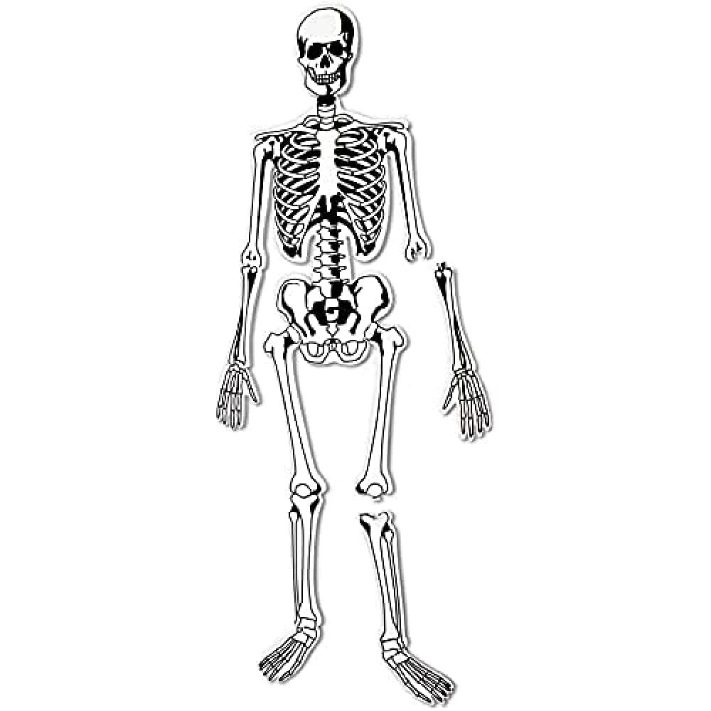 Learning Resources Skeleton Floor Puzzle (LER3332)