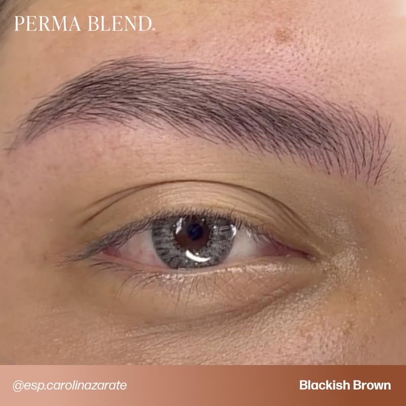 Perma Blend - Cool Eyebrow Tattoo Set - Microblading Pigment + Eyebrow Tattoo Ink for Permanent Makeup - Includes Blackish Brown, Dark Fudge and Mallard - Vegan - (0.5 oz, 3 Count)