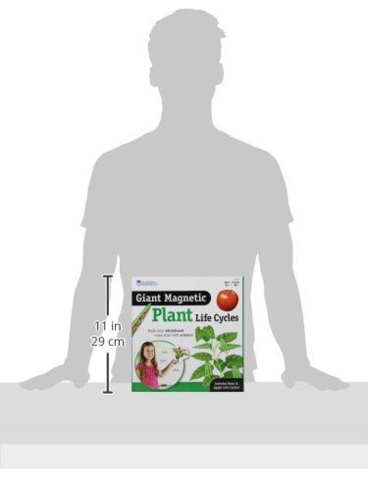 Learning Resources LER6045 Giant Magnetic Plant Life Cycle, 12 Write and Wipe Pieces, Ages 5+