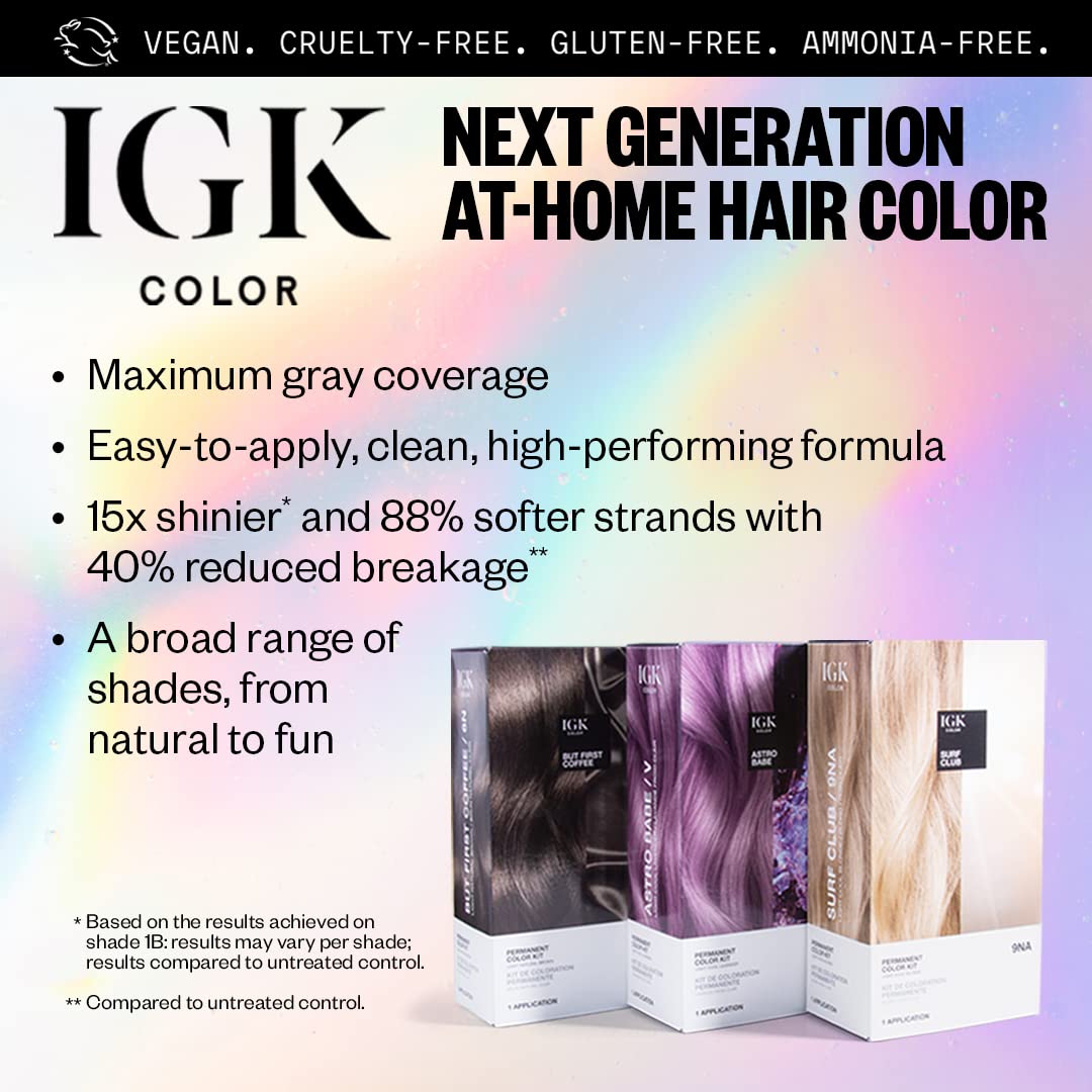 IGK Permanent Hair Color Kit | BA Titanium - Pure Cool Gray | 100% Gray Color Coverage + Strengthen + Shine | Ammonia Free