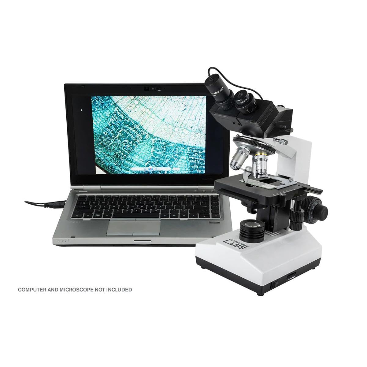 Celestron 44422 Digital USB HD Microscope Imager, 5MP CMOS Sensor, Mac & Windows Compatible, Black
