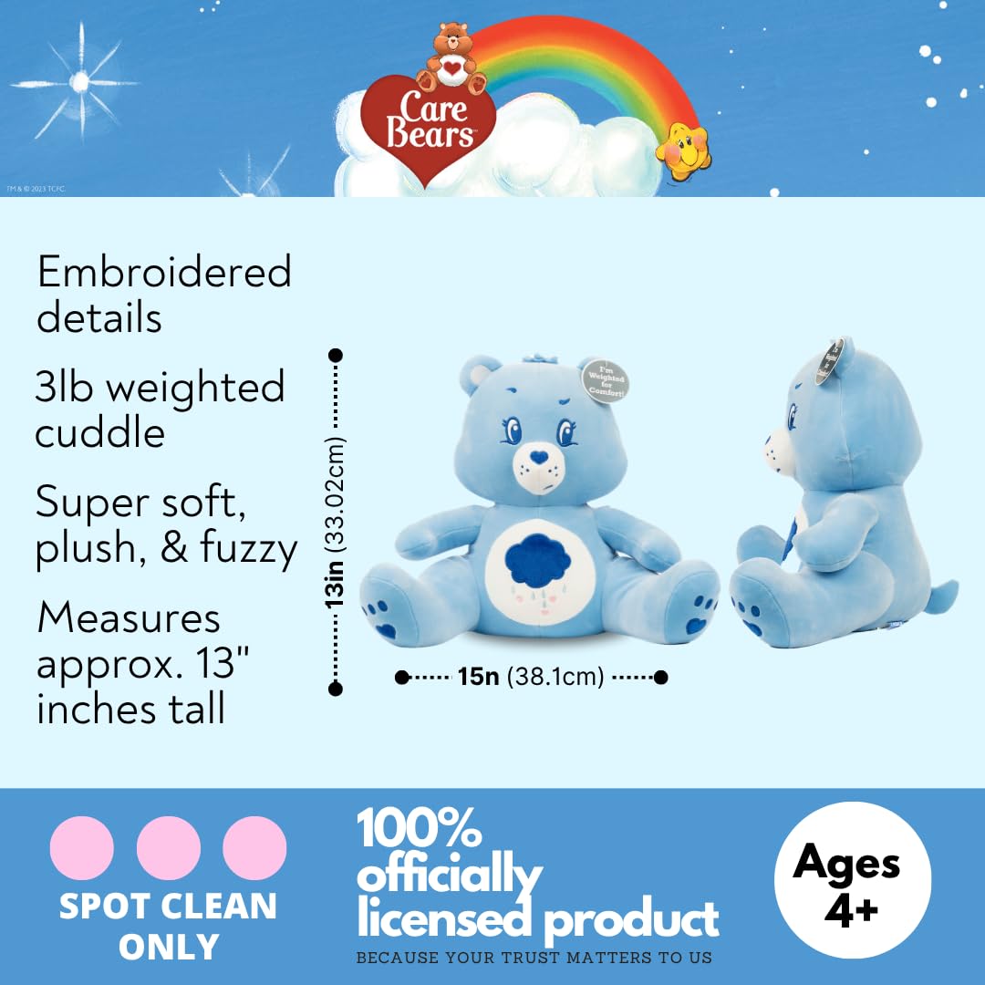 Franco Calm Care Bears Grumpy Bear Bedding Super Soft Calming 3Lb Weighted Cuddle Pillow Buddy, Comfort Pillow, (Officially Licensed Product)