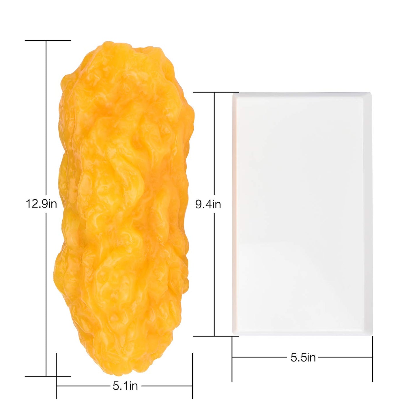 Medarchitect Authentic Human Body Fat Replica - 5 lb, Keep Fit & Weight Loss Motivation & Reminder, Human Fatty Tissue Demonstration Model for Nutritionist, Anatomical Science Course