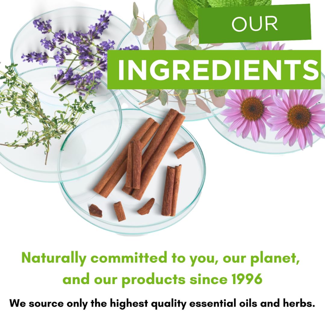 Dental Herb Company Under The Gums Irrigant: (2 Pack with Dropper) A Solution for Oral Irrigators and Water Flossers - Made with Pure Essential Oils and Herbs - Alcohol-Free, Vegan, Non-GMO